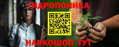 кокс Кимры