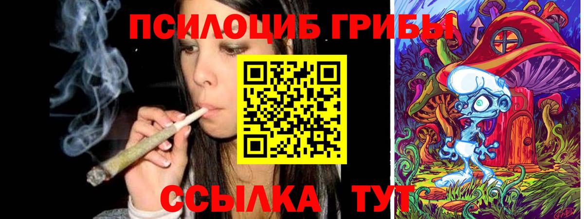 Галлюциногенные грибы мицелий  Галлюциногенные грибы MAGIC MUSHROOMS  Вход с VPN  Кунгур 